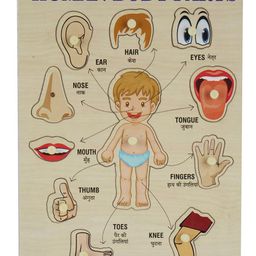 asian Portable Wooden Human Body Parts Puzzle For Kids Pack of 1 (Multicolor)-10