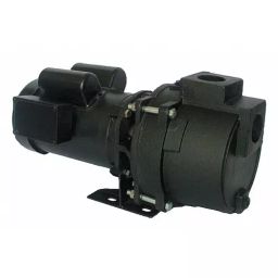 Dayton 1/2 HP Single Phase Sprinkler Pump, 5RWH6-image-9
