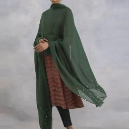 Folksong By W Green Embellished Dupatta-picture-14