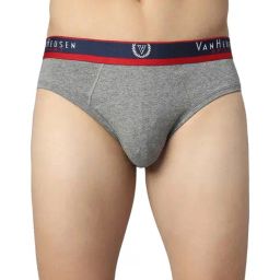 Van Heusen Sport Regular Fit Jaspe Textured No Marks Waistband Solid Briefs - Lt Grey Jaspe-picture-26