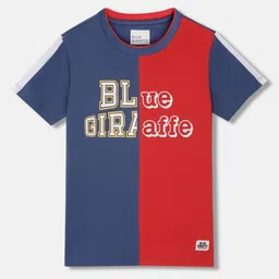 Blue Giraffe Boys Colourblocked Applique T-shirt-image-43