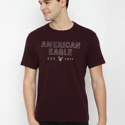 American Eagle Outfitters Burgundy Cotton Regular Fit Printed T-Shirt-image-66