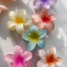 DIVASTRI Women Set of 6 Claw Clip-image-5