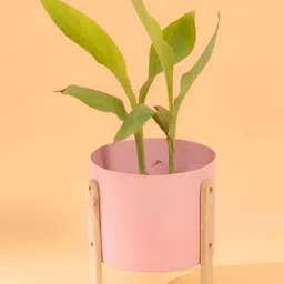 THREADVIBE LIVING Brown & Pink Modern Round Metal Pot With Wooden Stand-image-8