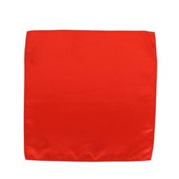 Calvadoss Men Red Solid Pocket Square image 3