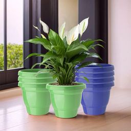 Kuber Industries Green & Blue Set Of 8 Plastic 2-Layer Planters-16