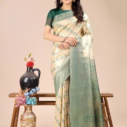 Astita Woven Design Banarasi Saree-15