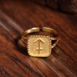Berserk Gold-Plated Sagittarius Signet Adjustable Finger Ring-image-2