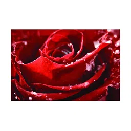 Inephos Red And White Floral and Botanical Canvas Wall Art-image-20