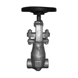 Leader FCS 023 Forged Cast Steel D Globe Valve 15 mm Class - 2500-image-23