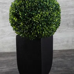 Pure Home and Living Green Topiary-14