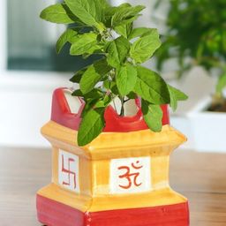 Ecofynd Tulsi Ceramic Plant Pots with Drainage Hole - Pack of 1-image-26
