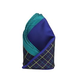 Alvaro Castagnino Blue Checked Pocket Square-picture-13