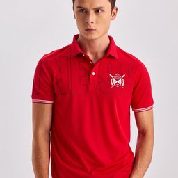 Red Flame Men Polo Collar T-shirt-image-40