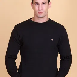 CLAPTON Men Solid Woollen Pullover-picture-20
