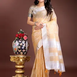 DIVASTRI Striped Zari Organza Saree-image-79