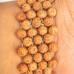 Apnisanskriti Rudraksha Bracelet-image-88