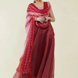 Soch Pink & Red Embellished Dupatta-picture-26