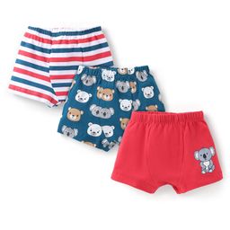 Babyhug 100% Cotton Knit Koala Printed Trunk Pack of 3 - Multicolour-image-100