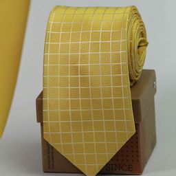 Tossido Checked Broad Tie-48