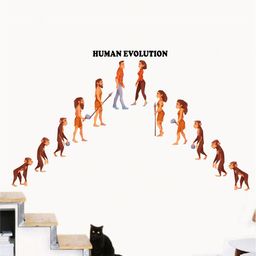 rawpockets Multicoloured Human Evolution Wall Stickers-image-99