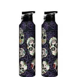 Speedex Multicoloured Single Stainless Steel Solid Water Bottle-picture-41