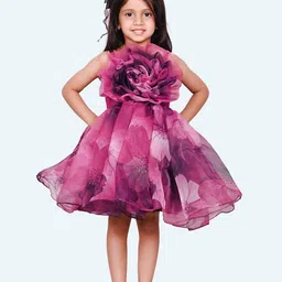 Modish Fit & Flare Dress-picture-44