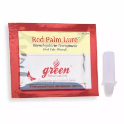 Green Revolution Red Palm Lure / Rhynchophorus Ferrugineus Pheromone For Insect-image-8