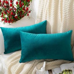 Shadowkart Set of 2 Fibre Filled Faux Velvet Ultra Soft Sleep Pillow-45