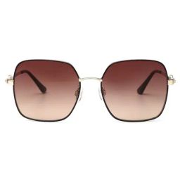 bebe Brown Square Sunglasses for Women-image-72