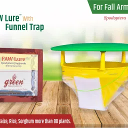 Green Revolution Funnel Trap With Faw Pheromone Lure For Insect-1