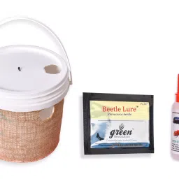 Green Revolution Bucket Pheromone Trap With Beetle Lure For Insect-image-73