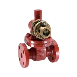 SANT 2½ inch (65 mm) Cast Steel Parallel Slide Blow Off Valve, CS 4A-image-35