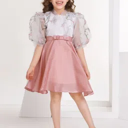 Peppermint girl Embroidered Puff Sleeve Fit & Flare Dress-picture-29