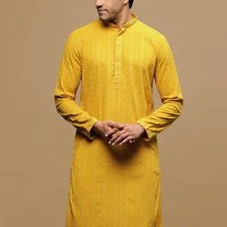 Sanwara Ethnic Motifs Embroidered Chikankari Cotton Straight Kurta-image-36