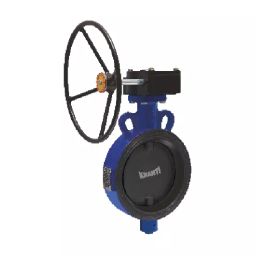 Kranti 6 inch, 150 mm SG Iron Gear Operated Butterfly Valve, PV-403H-image-16