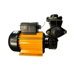 Rajdoot Self Priming Monoblock Pump 2 HP Single Phase, YP-47 image 2