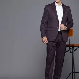 Raymond Checked Single Breasted Regular Fit 2 Piece Formal Suits-image-13