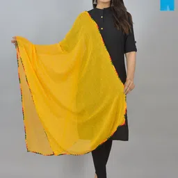 LA FEMINAE Dupatta-picture-13