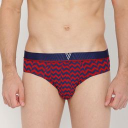 Van Heusen Men Printed 4-Way Stretch Ultra Soft Briefs 230004-picture-8