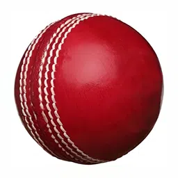 HackerX Pebble Trainy Sports Cricket Ball-38