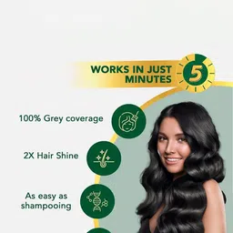 Spring H2O Set Of 10 Shampoo Hair Color Enrich With Argon Oil - 15 ml Each- Natural Black image 3