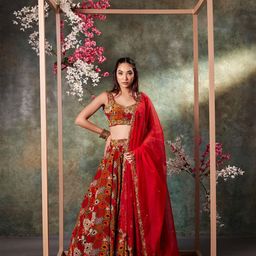 Mehak Murpana Ready to Wear Lehenga & Blouse Net-picture-11