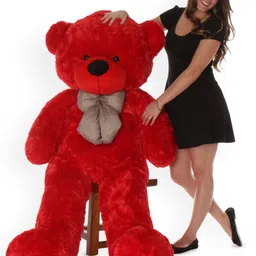 VEERA SOFT TOYS Kids Teddy Bears Soft Toys-48