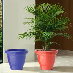 Kuber Industries 2-Pcs Blue & Red Durable Platenrs-29