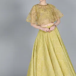 Ethnovog Olive Green Embroidered Made to Measure Lehenga with Blouse-image-67