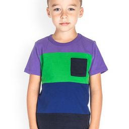 Cherry Crumble Boys Multicoloured Colourblocked Round Neck T-shirt-image-81
