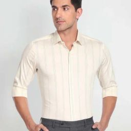 Arrow Cream Slim Fit Striped Shirt-image-28