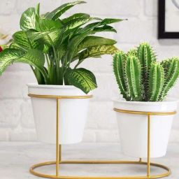 Homesake Gold & White Metal Planters Top Designer Metallic Combo Stand - Set of 2-12