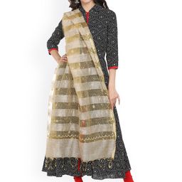 Dupatta Bazaar Beige Embroidered Striped Dupatta-49